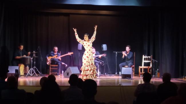 El Flamenco llegará a los rincones de Almería gracias al Circuito Provincial de la Diputación