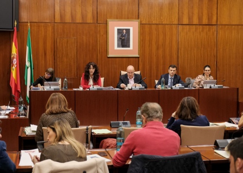 Almería han recibido más de 104,5 millones de euros por dependencia