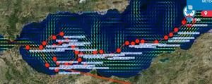 Seguimiento de la tortuga boba Reglito, liberada en el Atlántico desde Almería