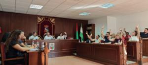 Vícar ratifica en el Pleno su apuesta por la tolerancia con motivo del Día del Orgullo