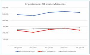 COAG emprenderá acciones legales por fraude fiscal contra los importadores de tomate marroquí