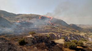 Almería combate un virulento incendio en Carboneras con un gran despliegue aéreo