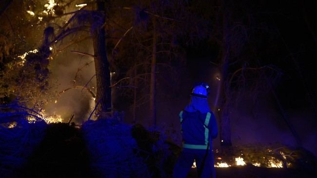 Detenidos tres y 22 investigados por incendios en Galicia