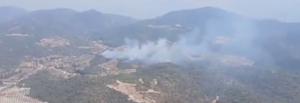 Despliegue masivo para frenar un fuego forestal declarado en Purchena