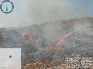 El Plan Infoca lucha contra un incendio en Antas