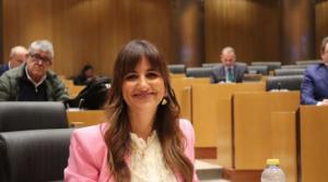 El PSOE propone declarar el 2025 como Año del Pueblo Gitano en España