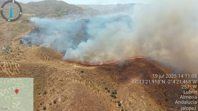 Incendio en Lubrín moviliza 16 aeronaves y 14 grupos de bomberos