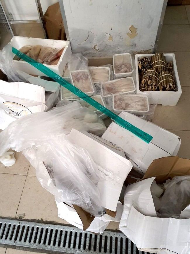 Junta y Seprona intervienen más de 500 kg de pescado sin garantías en Andalucía