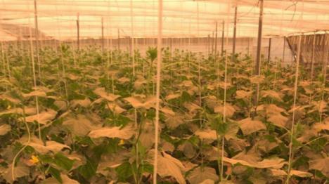 Asaja pide una rebaja fiscal para el sector agrario y ganadero