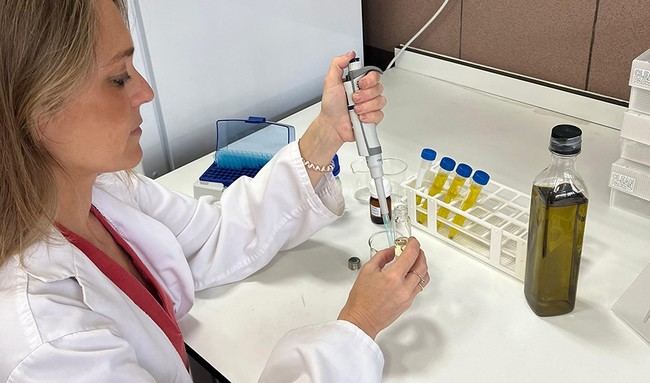Investigadores andaluces desarrollan IA para mejorar el aroma del aceite de oliva en Almería