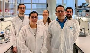 Investigadores andaluces crean bioplástico biodegradable para conservar alimentos