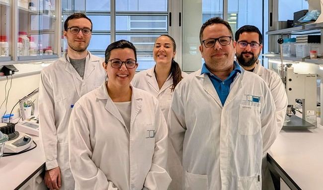 Investigadores andaluces crean bioplástico biodegradable para conservar alimentos