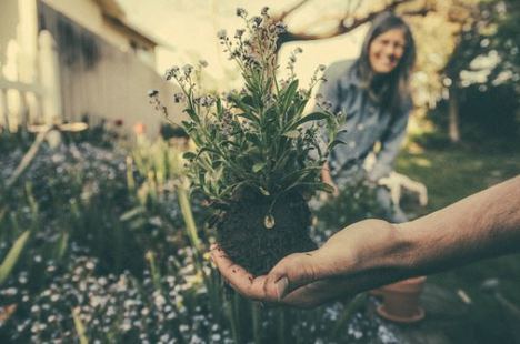 Conoce los beneficios de la jardinería para la salud