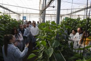 La agricultura del futuro es una realidad en Almería