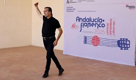 Inversiones en Flamenco: Almería se suma al Plan Estratégico de Cultura