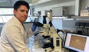 Investigadores de Huelva crean un fluido innovador para almacenar energía solar en Almería