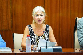La Junta de Andalucía invierte más de 71 millones en orquestas