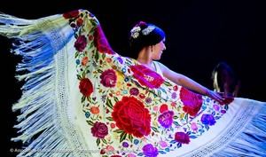 Flamenco en Almería: Recitales destacados por el Día del Flamenco