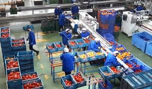 La Junta invierte 3.347 millones en desarrollo rural andaluz