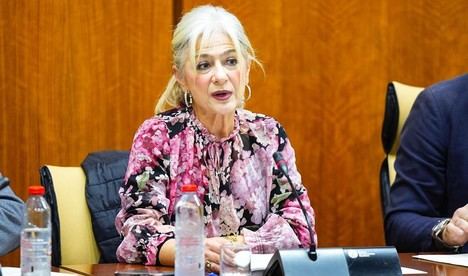 La Junta destina 30 millones a cultura y deporte