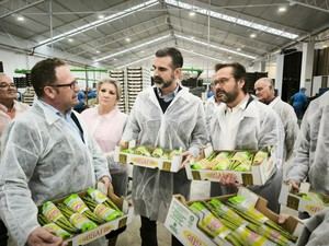 La Junta destina 88 millones para modernizar el agro