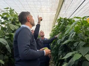 Almería recibe 22,4 M€ en ayudas por daños agrícolas tras DANAs