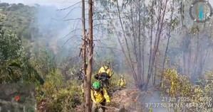 Incendio en Huelva: Plan Infoca en fase de emergencia