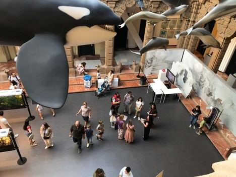 La Casa de la Ciencia en Sevilla recibió más de 56.000 visitantes en 2024