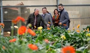La Junta solicita apoyo para el sector de la flor cortada en Almería