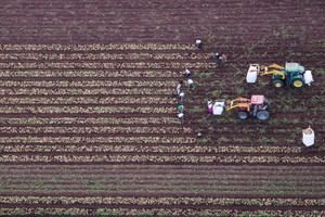 Más de 6.000 productores de Almería solicitan ayudas de la PAC para 2025