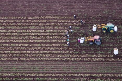 Más de 6.000 productores de Almería solicitan ayudas de la PAC para 2025