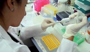 Candidaturas para los Premios de Investigación ‘Isabel Ovín Camps’