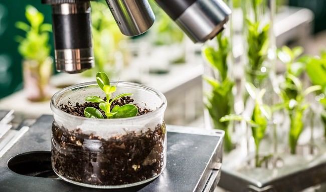 Ayudas de 18 millones para la innovación agroalimentaria en Almería y Andalucía