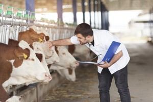 Las ADSG de Almería optan a ayudas de 6,8M€ para ganaderos