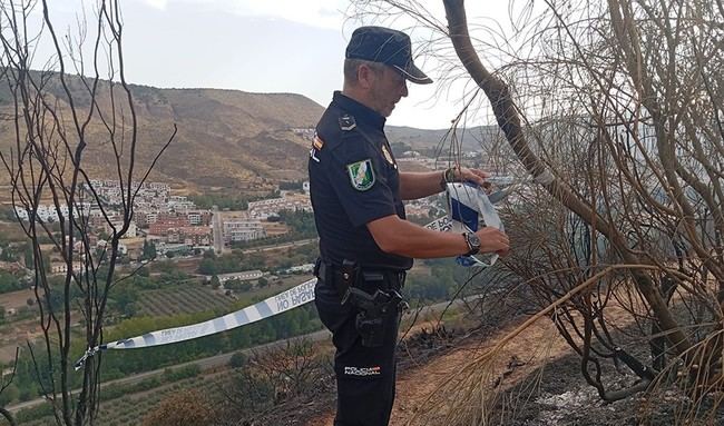 Incendio en Granada: Tres menores identificados como responsables del fuego en la Fuente de la Bicha