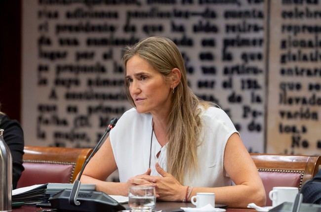Gobierno intensifica esfuerzos para combatir incendios, afirma ministra Aagesen