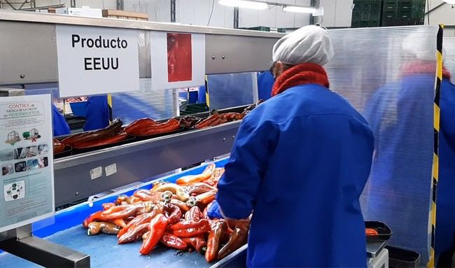 Exportaciones en Andalucía generan más de 452.000 empleos en 2024
