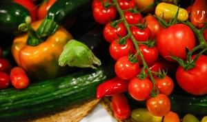 Exportaciones agroalimentarias de Almería superan los 642 millones en enero