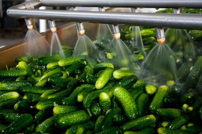Almería lidera exportaciones hortofrutícolas con 2.306 M€ en 2025