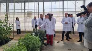 La reina Letizia avala el liderazgo agrícola de Almería en el 50 aniversario de Las Palmerillas