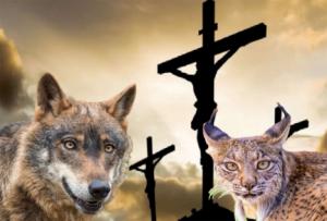 Linces, lobos y la pasión de Cristo