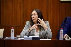 Loles López destaca la unidad en Almería para combatir la violencia de género
