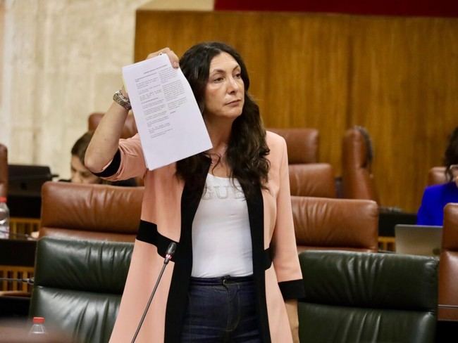 Loles López exige al Gobierno que Andalucía reciba el mismo trato que el País Vasco en dependencia