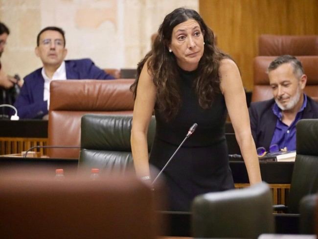 López exige al PSOE-A disculpas por perjudicar a los dependientes en Almería