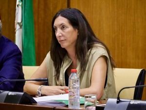 López critica al PSOE por desatender a los dependientes andaluces en favor del País Vasco