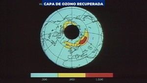Agujero de ozono: impacto en salud y fauna en los años 90