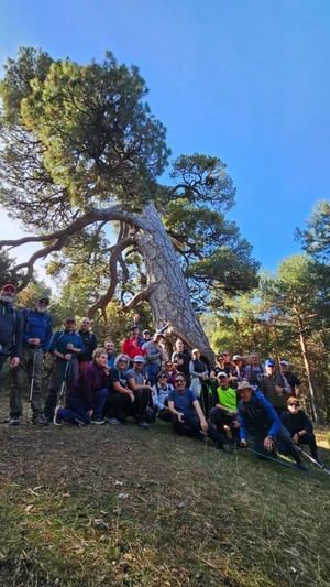 Senderistas disfrutan del Pino de la Señora en la Sierra de Baza
