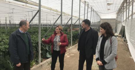 IU Almería denuncia el acuerdo UE-Marruecos como una traición al campo almeriense y al pueblo saharaui