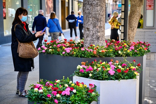 21 nuevas jardineras llenan de color el Paseo de Almería