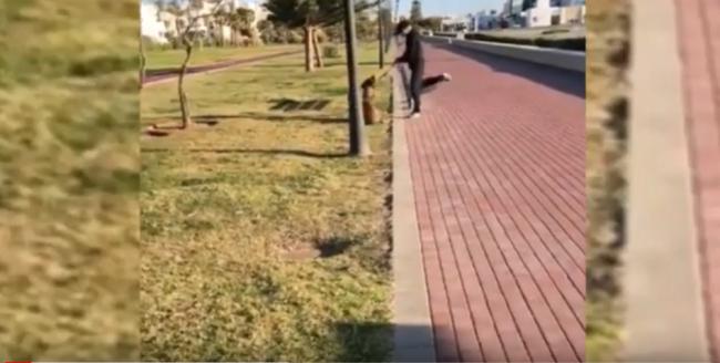 Maltrata a un animal y agrede a tres policías en El Ejido